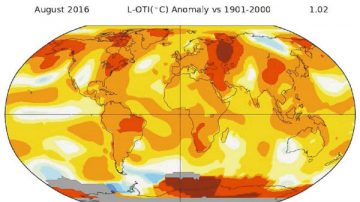 地球持续高温连续16个月 再破记录