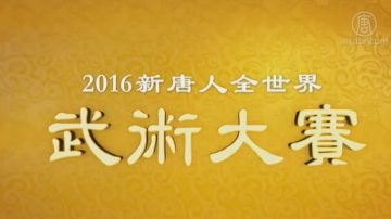 2016年新唐人全世界华人武术大赛特别节目（3）