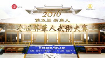 2016年新唐人全世界华人武术大赛特别节目（2）