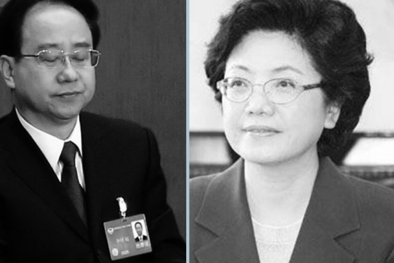 衛計委主任李斌想當副總理？傳早被中紀委盯上