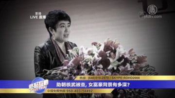 胡平：马晓红只是白手套 背景直达中央（视频）