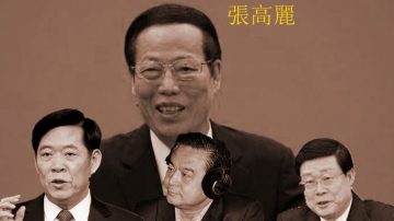 中组部罕见发通报 杨栋梁曝出新罪