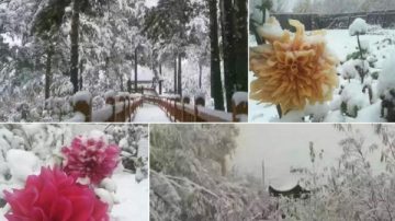 10月未到 黑龙江大兴安岭降下初雪