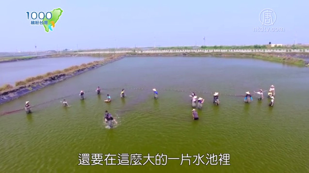 1000步的繽紛台灣：彰化芳苑-體驗漁夫農夫愜意生活
