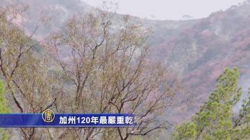 加州120年最嚴重乾旱未解 水費恐漲