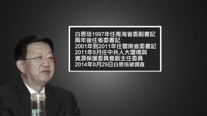 周永康的马仔受贿2.4亿 白恩培被判死缓