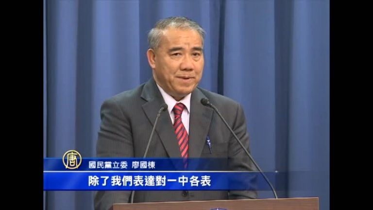 藍委籲提「一中各表」 洪秀柱未正面回覆