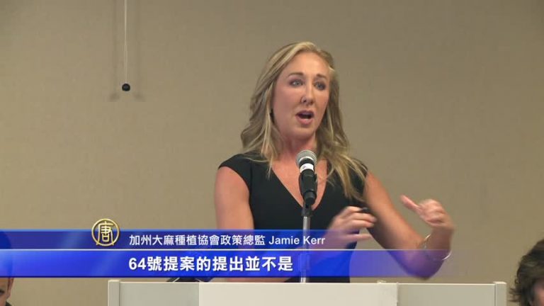 加州大麻合法化 藥用支持者也反對