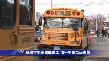 紐約市校車醞釀罷工 成千學童或受影響