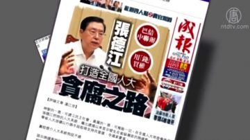 【禁闻】中纪委刊物引《成报》赞习反腐