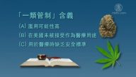 【灣區聚焦】加州大麻合法化 後果堪憂