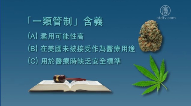 【湾区聚焦】加州大麻合法化 后果堪忧