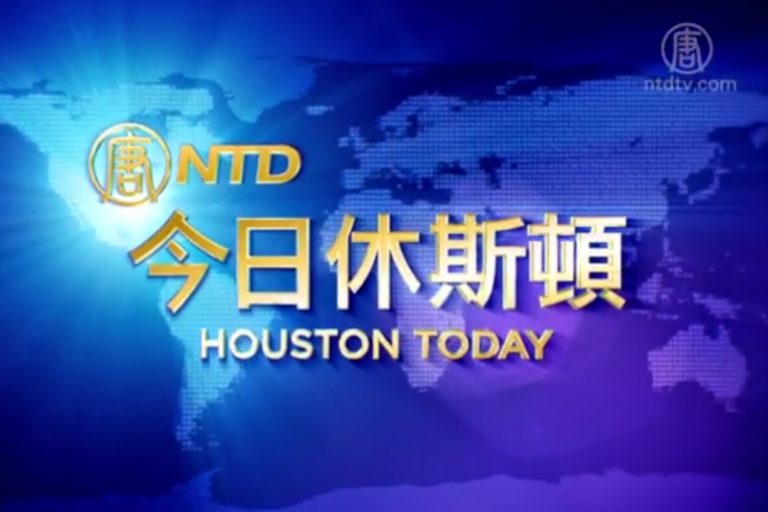 【今日休斯頓】11月11日完整版
