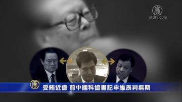 申維辰被判無期 曾是江澤民政變集團聯絡員?