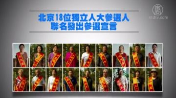 北京18位独立候选人联名参选人大