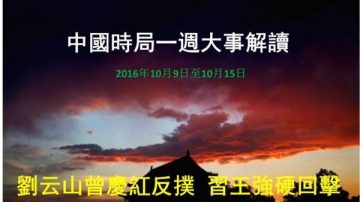 謝天奇：劉曾反撲 習發政治警告 黨政軍經網五路布控六中