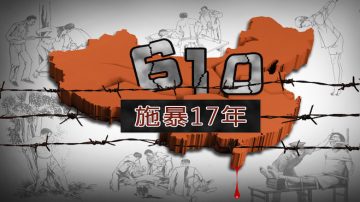 【禁闻】中巡组批“610” 评：打江派死穴