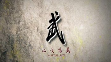 【武】止戈為武（一）：八極拳