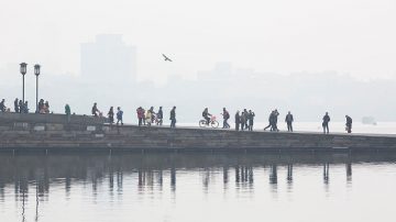 UN新报告：大气中二氧化碳浓度达历史新高