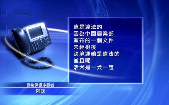 警車開道送狗販 狗肉黑色產業鏈浮現