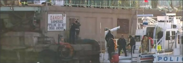 多倫多警方找到墜安大略湖女司機尸體