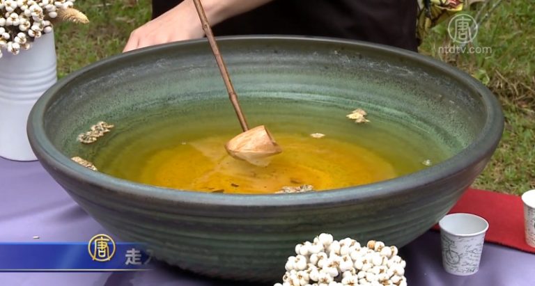 走入圓潭生態園區 感受茶鄉文化之美