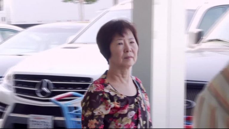 民主黨用福利吸引西裔 合法亞裔反被擋？