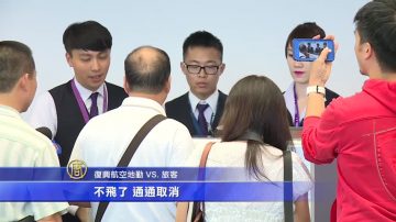 興航突停飛！民眾：企業社會責任不足