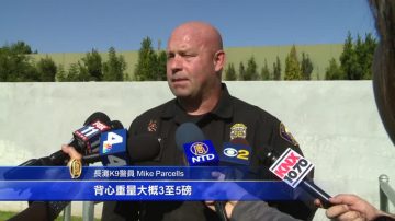 狗界英雄 K9出任務安全第一