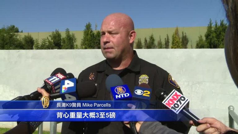 狗界英雄 K9出任務安全第一