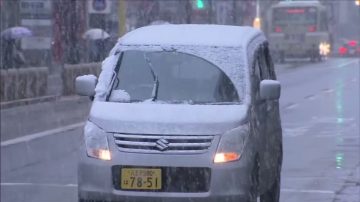 日本東京11月降初雪 54年來首次