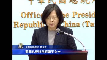 蔡开司改国是筹备会 小灯泡母谈亲身经历