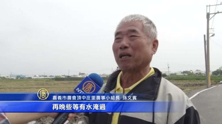 稻草腐化再利用 就地翻耕都是寶