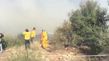 以色列大火繼續 逮捕縱火嫌犯