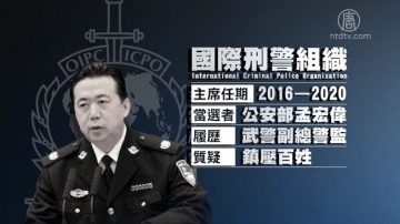 陸公安部副部長當選國際刑警主席 影響有多大?