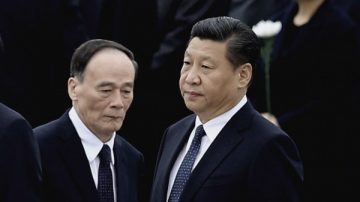 陈思敏：习王拿下安徽一虎 直逼三只老老虎