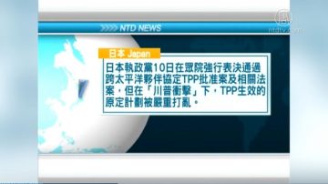 11月10日国际重要讯息