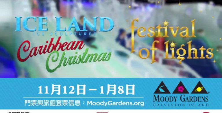【廣告】 11月12日-1月8日 冰雪世界盛裝亮相