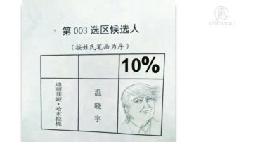 川普意外「介入」人大選舉？陸民創意 非暴力不合作