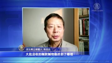 武汉拍卖上缴礼物 民问赃款去向