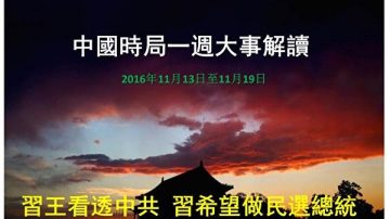 謝天奇：習意在民選總統 6路圍剿鎖定大老虎 「年底有大事」