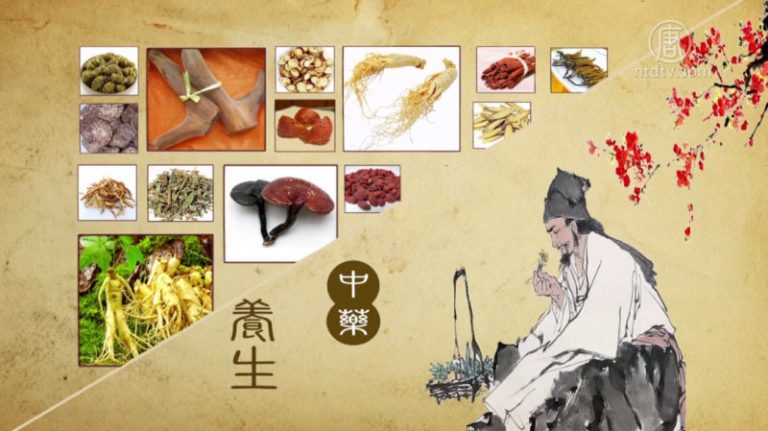 秋冬氣候變化 中醫師傳授食補養生秘招