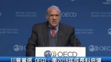 川普当选 OECD：美2018年成长料倍增