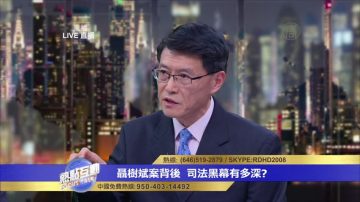 聶樹斌案的平反與逐步清除江澤民犯罪集團相關？