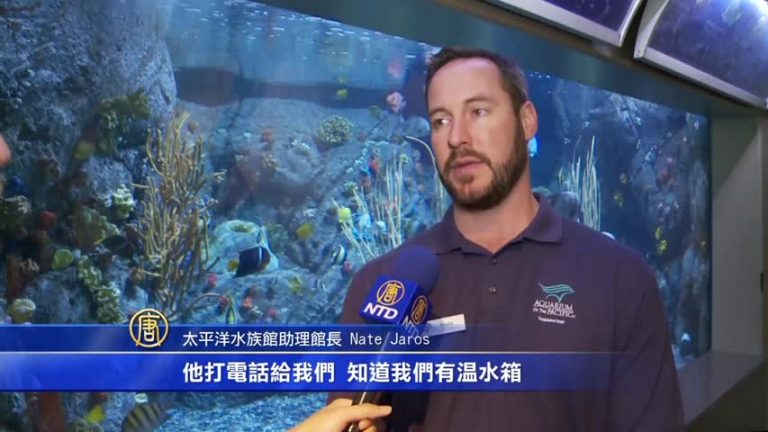 水太冷 洛杉磯海域不速之客險喪命