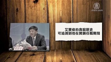 【禁闻】四虎被公诉 艾宝俊宋林引关注