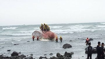 【更新】基隆渔船外海沉没 救出1陆藉渔工 发现船长遗体