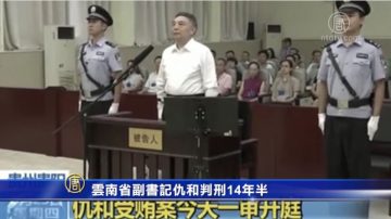 云南省副书记仇和判刑14年半