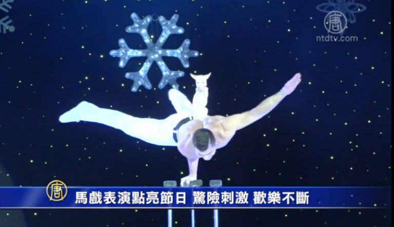 馬戲表演點亮節日 驚險刺激 歡樂不斷