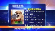 【南加週末亮點】17年1月第1期